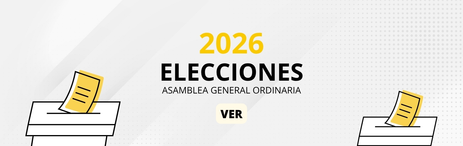 Elecciones 2026
